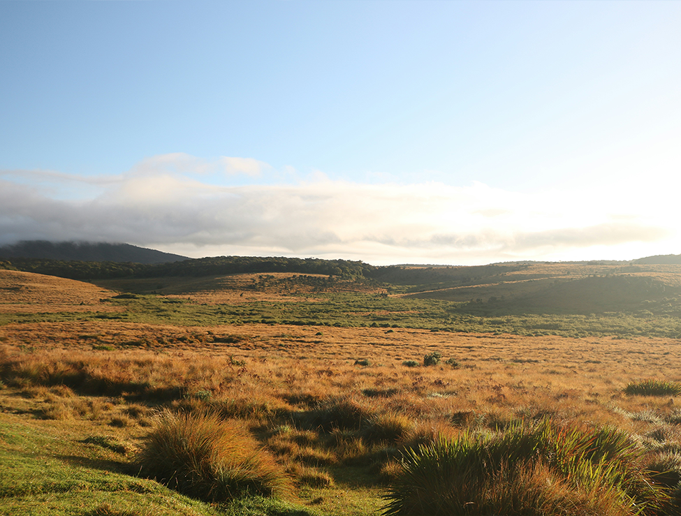 ella-horton-plains-sl-oddessy-tours-sri-lanka